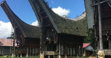 Stunning Toraja