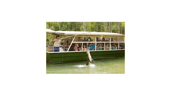 Tour in Cairns: Hartley’s Crocodile Adventures