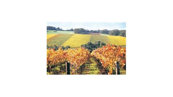 Mornington Peninsula - Private day tour from $630.00 per person