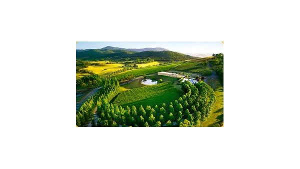 Yarra Valley wine tour