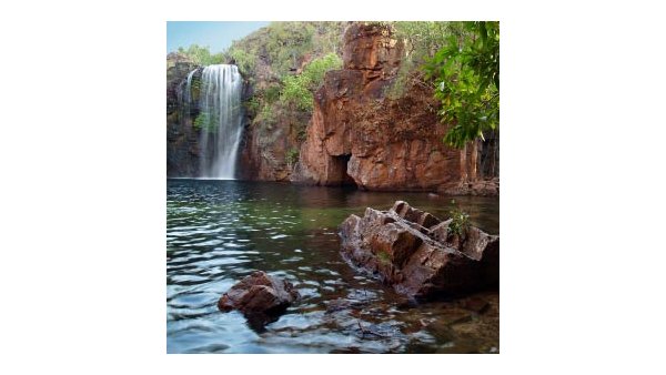 Litchfield National Park Tour - from $148.00 per person
