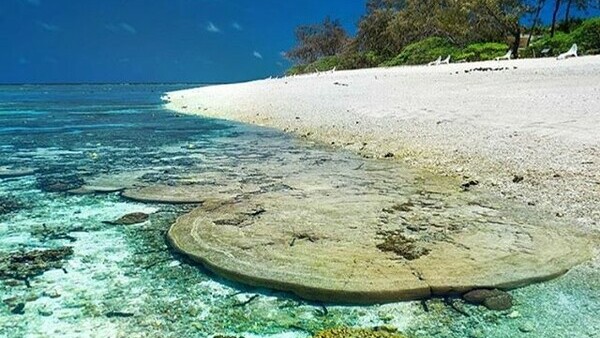 crystal clear water