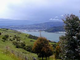 Dunedin, scenic highlights and wildlife tour