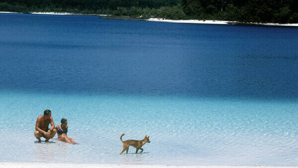 Full day tour to Fraser Island - $225.00 per adult