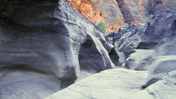 Tourism Western Australia