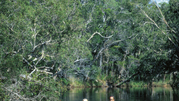 Tourism and Events Queensland