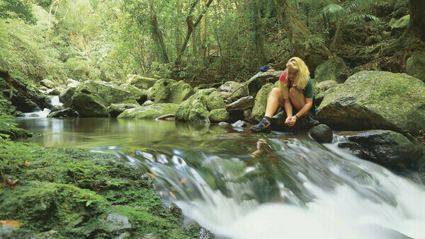 Tourism and Events Queensland