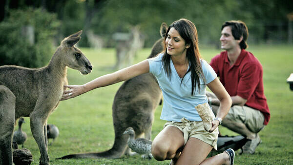 Tourism & Events Queensland
