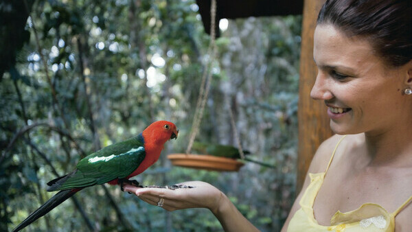 Tourism & Events Queensland