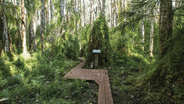 Tourism and Events Queensland