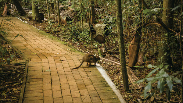 Tourism and Events Queensland