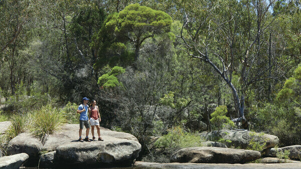 Tourism and Events Queensland