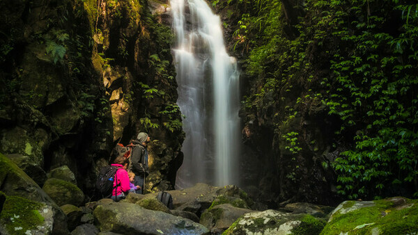 Tourism & Events Queensland